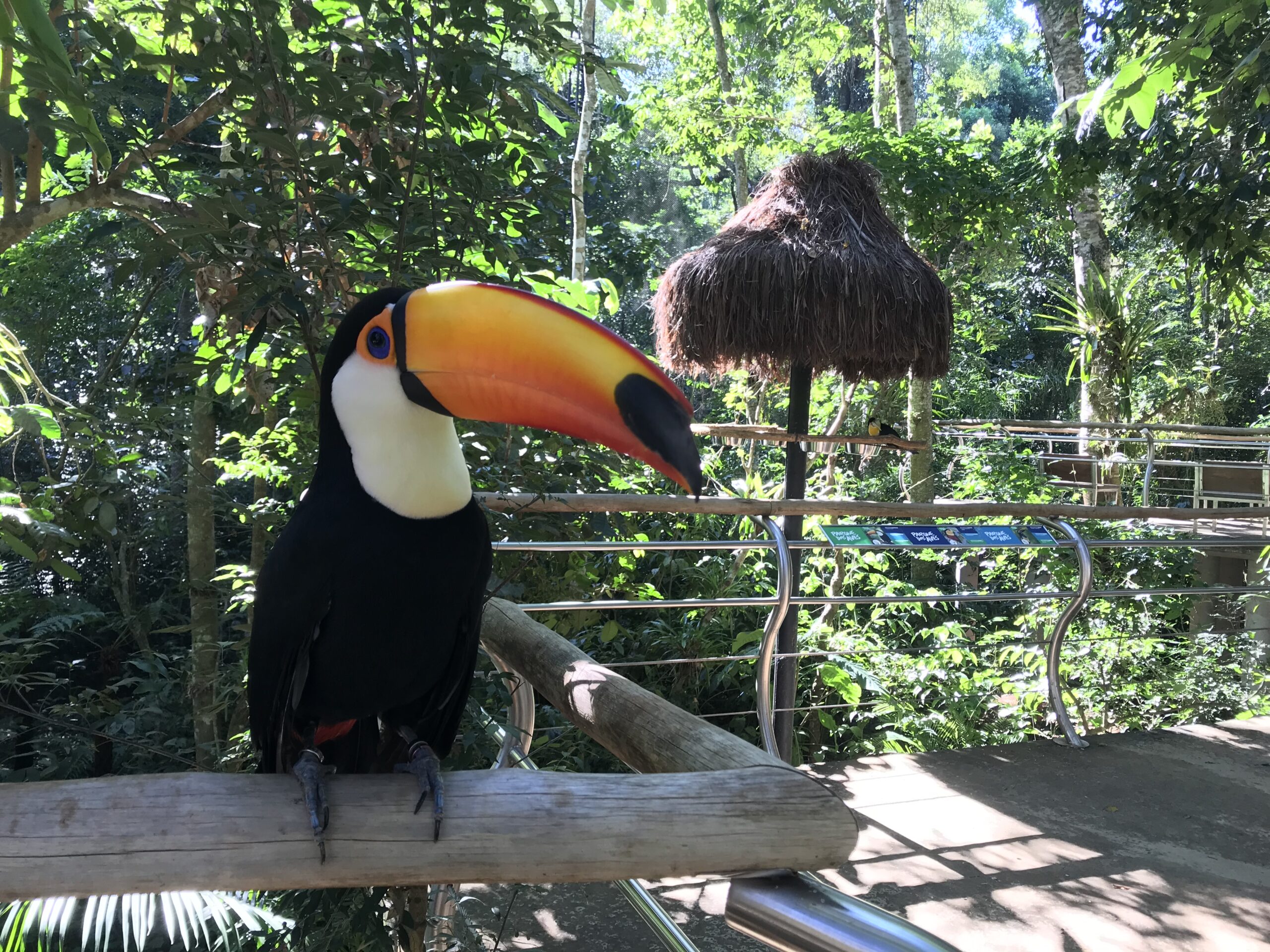 Parque das Aves